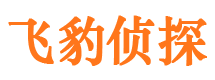 丽水市侦探调查公司